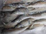 Продовольствие Рыба и рыбопродукты, цена 120 Грн./кг., Фото