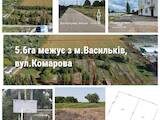Земля і ділянки Київська область, ціна 16380000 Грн., Фото