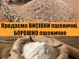 Продовольствие Зерно и мука, цена 1 Грн./т., Фото