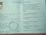 Собаки, щенята Ягдтер'єр, ціна 5000 Грн., Фото