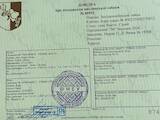 Собаки, щенята Західно-Сибірська лайка, ціна 8000 Грн., Фото