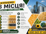 Продовольство Зерно і мука, Фото